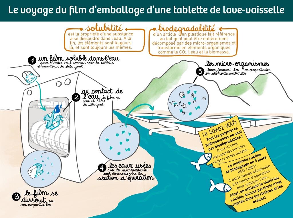 difference entre la biodégradabilité et la solubilité